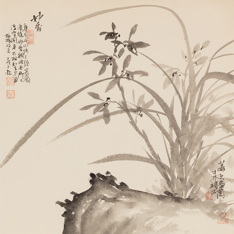 Elegant Orchid Amidst Rocks - 12.99 x 12.6" - Sigurai
