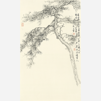 Quiet Pine Shadow - 19.69 x 11.81" - Sigurai