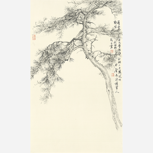 Quiet Pine Shadow - 19.69 x 11.81" - Sigurai