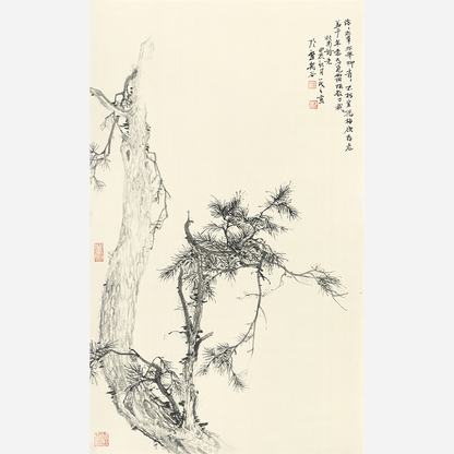 Pine Shadows Dancing - 19.69 x 11.81" - Sigurai