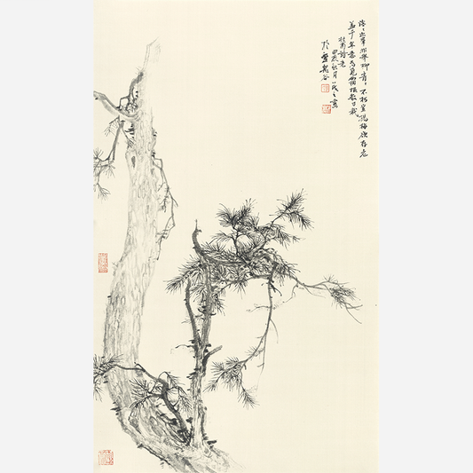 Pine Shadows Dancing - 19.69 x 11.81" - Sigurai