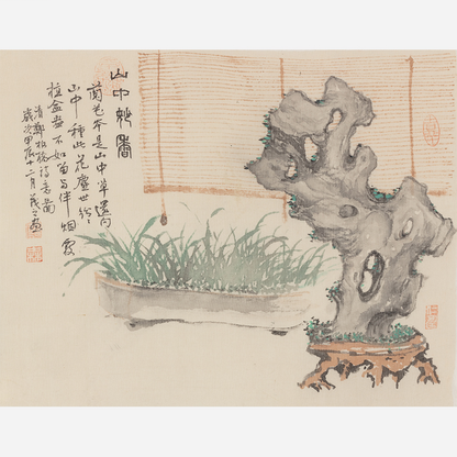 Tranquil Bonsai: Serene Indoor Beauty - Sigurai