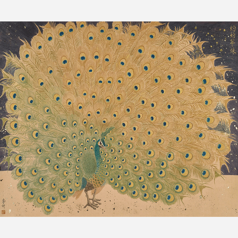 Peacock Spreads Its Tail - 26.77 x 37.8" - Sigurai