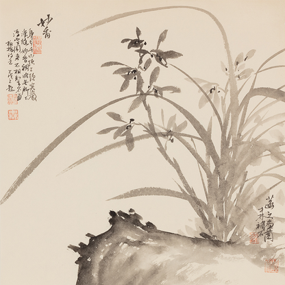 Elegant Orchid Amidst Rocks - 12.99 x 12.6" - Sigurai