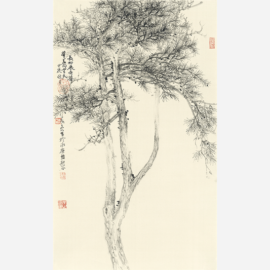 Ancient Pine Style - 19.69 x 11.81" - Sigurai