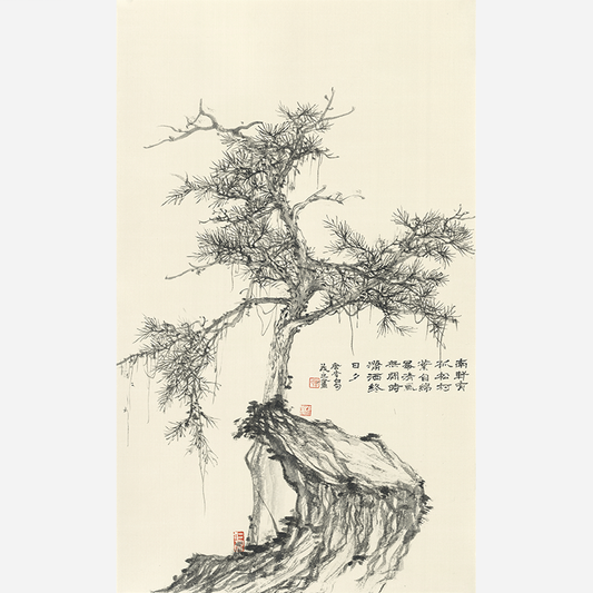 Pine And Cypress Are Evergreen - 19.69 x 11.81" - Sigurai