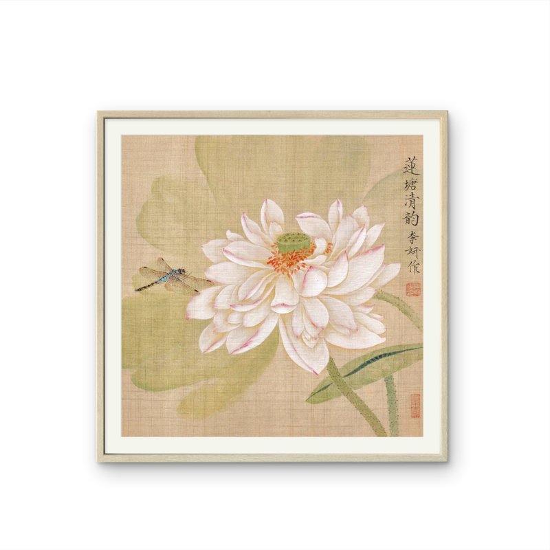 Flor de Lótus Libélula | 12,99 x 12,99